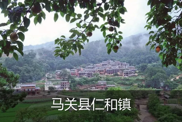 马关县仁和镇