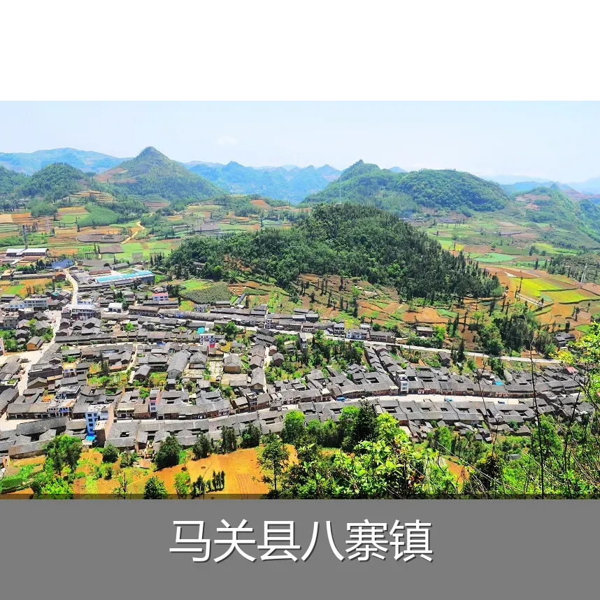 马关县八寨镇
