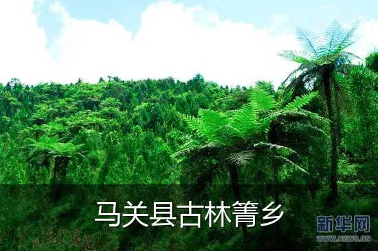 马关县古林箐乡