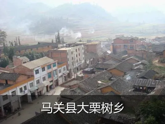 马关县大栗树乡