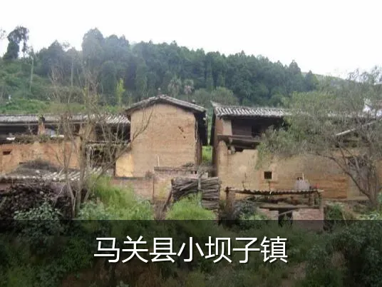 马关县小坝子镇