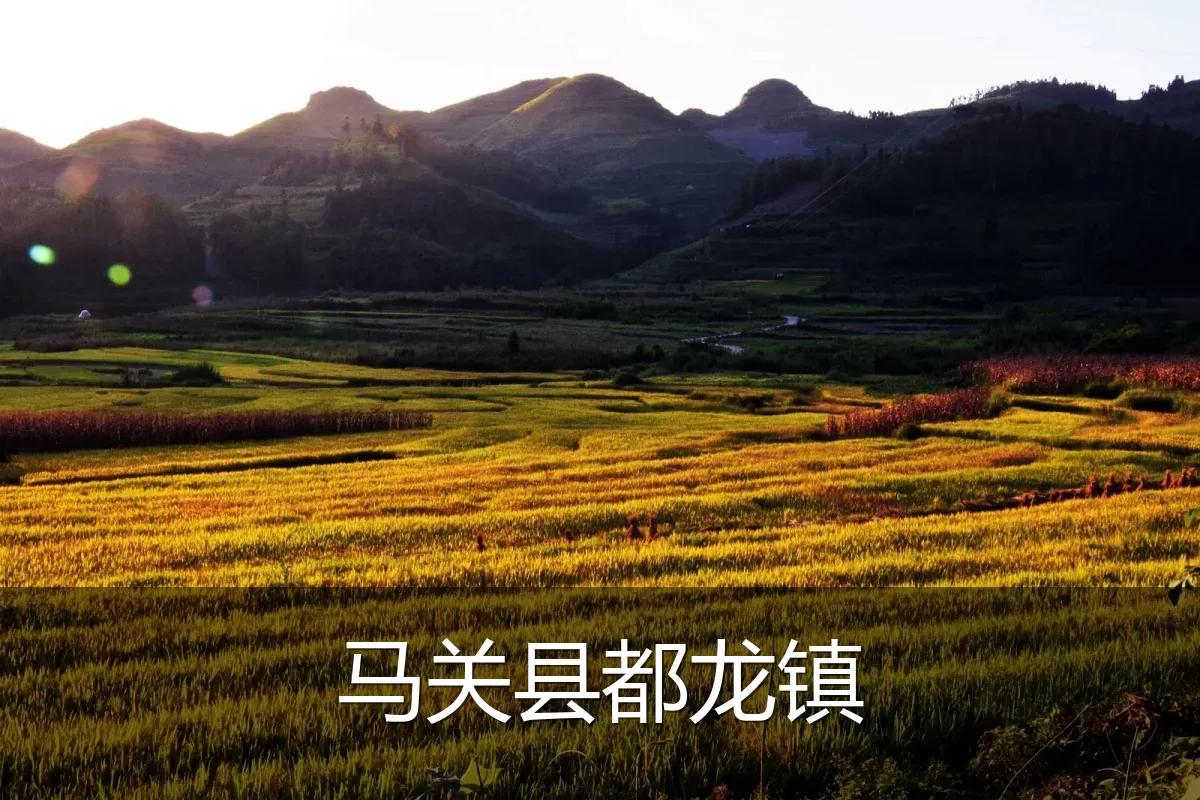 马关县都龙镇