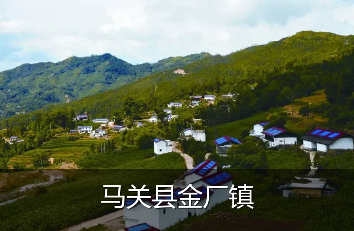 马关县金厂镇